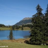 Lauenensee im Berner Oberland 006.jpg